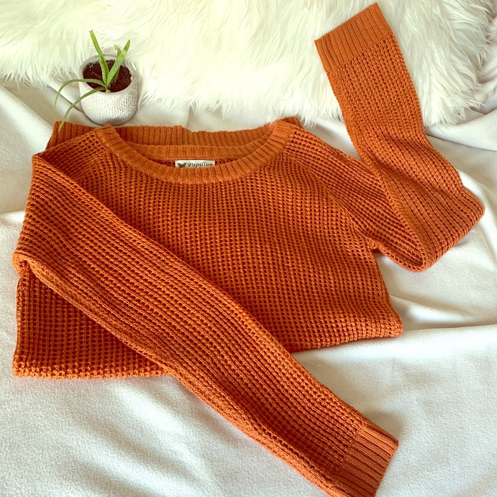 Papillon Burnt Orange Mesh Knit Sweater